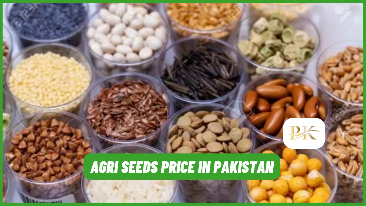 Agri Seeds Price in Pakistan