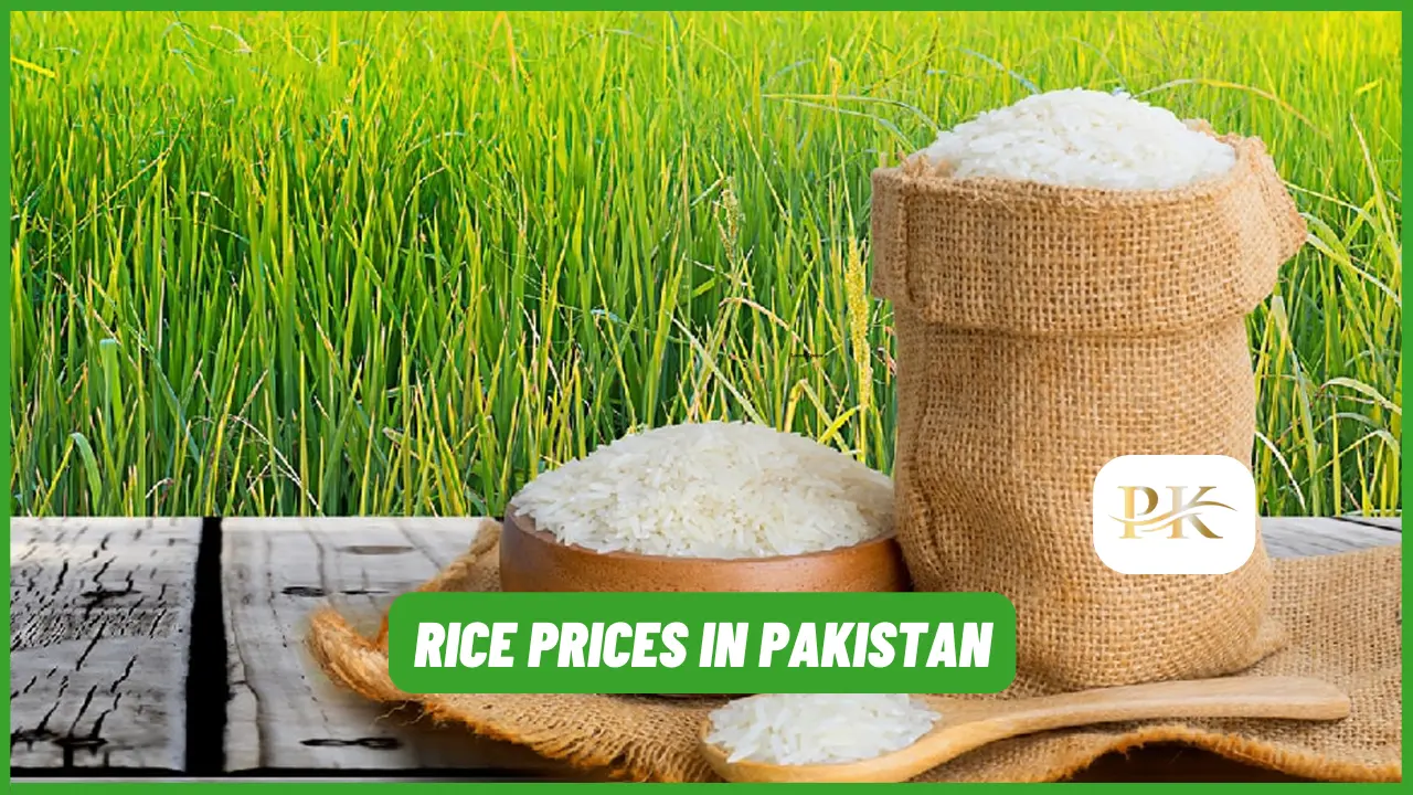 Latest Rice Prices in Pakistan