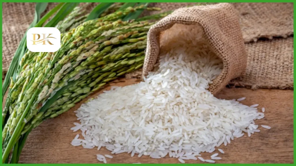 Rice Prices in Pakistan